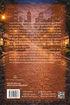plaN amoR - Contraportada