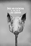 Dios no escucha el chillido de los cerdos - Página de muestra