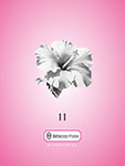 Lotería literaria - Página de muestra